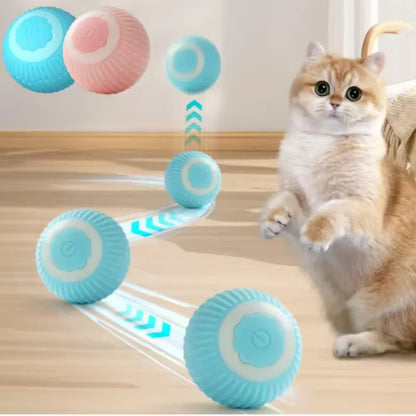 Orbita Pet