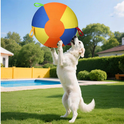 VibeBall - La Palla da Gioco Ultra-Resistente