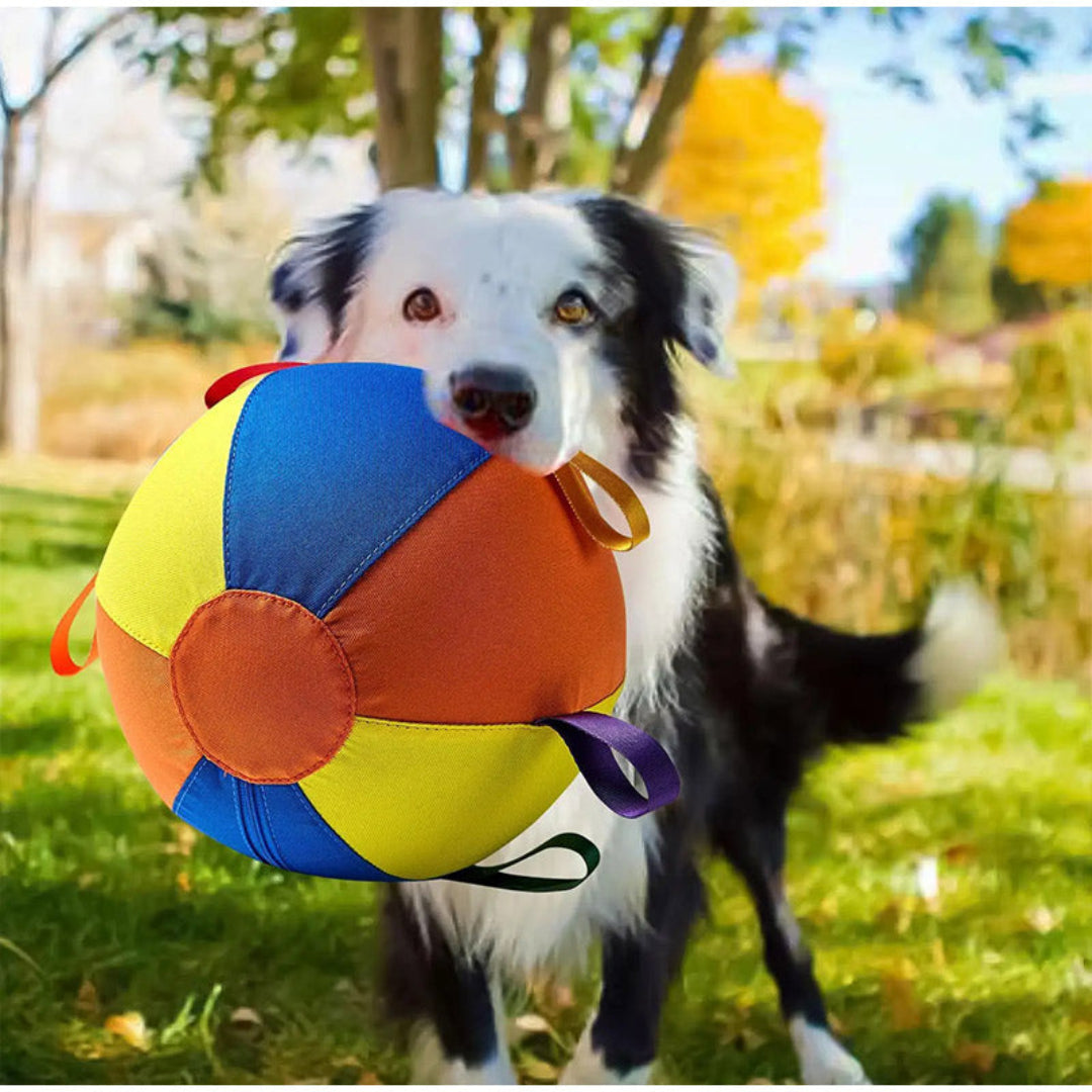 VibeBall - La Palla da Gioco Ultra-Resistente