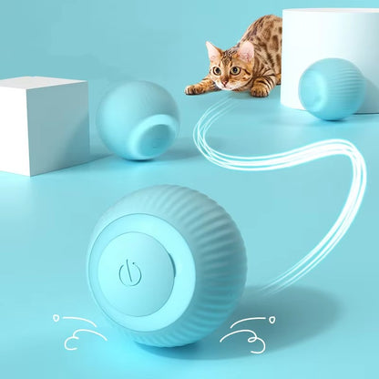 Orbita Pet