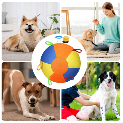 VibeBall - La Palla da Gioco Ultra-Resistente