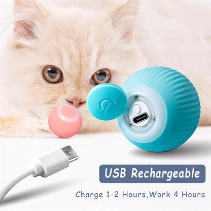 Orbita Pet
