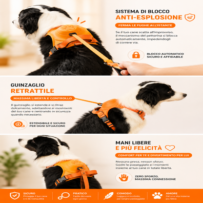 FlexiVibe - La Pettorina con Guinzaglio a Scomparsa e Blocco di Sicurezza